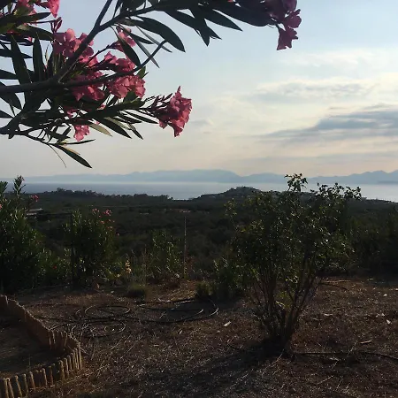 Elaia View Διαμέρισμα *